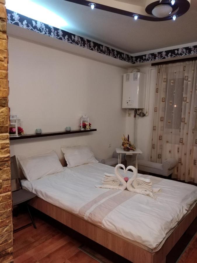 Alexandra 'S Studio Brasov Exterior photo