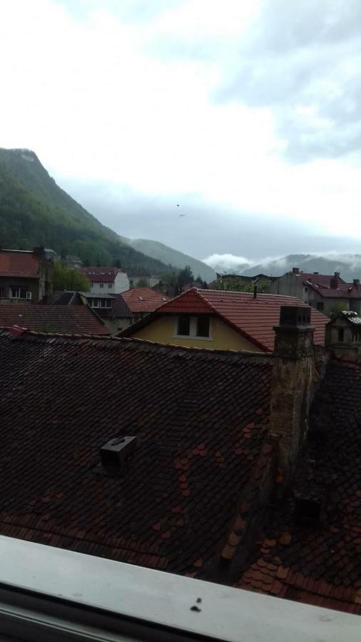 Alexandra 'S Studio Brasov Exterior photo