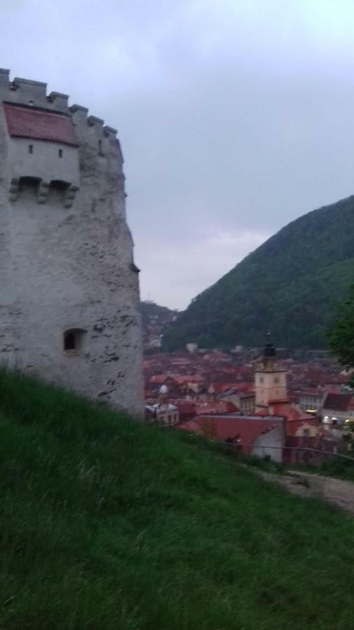 Alexandra 'S Studio Brasov Exterior photo