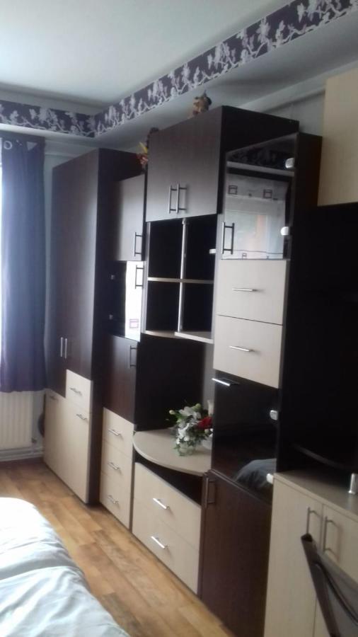 Alexandra 'S Studio Brasov Exterior photo